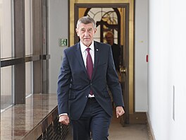 Sch�ze Poslanecké sn�movny. Na snímku premiér Andrej Babi� (ANO). (13. ledna...