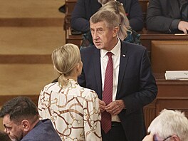 Sch�ze Poslanecké sn�movny. Vyslovení d�v�ry vlád�. Na snímku premiér Andrej...