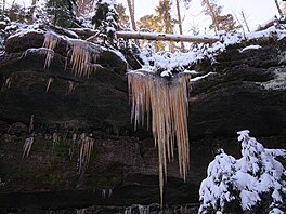 Sou�asné podmínky jsou podle mluv�ího správy národního parku pro vznik tamních...