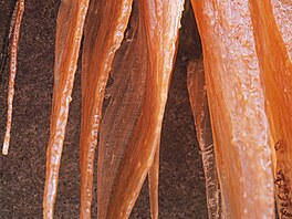 Neobvyklé �lutavé a� hn�do�ervené zbarvení ledopád� zp�sobují látky rozpu�t�né...