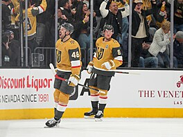 Tomá� Hertl slaví vyrovnávací branku 7 sekund p�ed koncem.