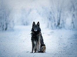 Pán les� a zimy Ezra