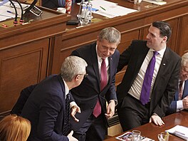 Premiér Andrej Babi� poté, co jeho vláda dostala d�v�ru Sn�movny (15. ledna...