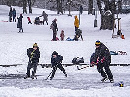 U B�evnovského klá�tera na zamrzlém rybníku Pra�ané hrají hokej a bruslí. (10....