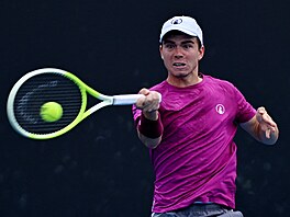 Dalibor Svr�ina v prvním kole Australian Open.
