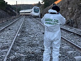 �len �pan�lské civilní gardy pracuje na míst� nehody (19. ledna 2026)