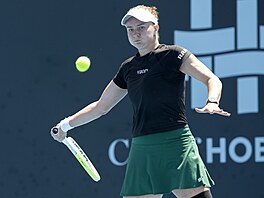 Barbora Krej�íková na turnaji v Hobartu