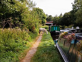 P�esto tvrdí, �e klid, blízkost p�írody a netradi�ní zp�sob �ivota jsou k...