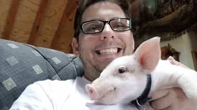 Hampton Hamilton Pigglesworth Burroway Willis I je�t� jako mil� sel�tko