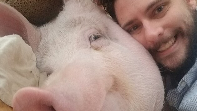 Tady u� pon�kud povyrostlo.