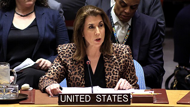 Z�stupkyn� velvyslance USA p�i OSN Tammy Bruceov� (29. prosince 2025)
