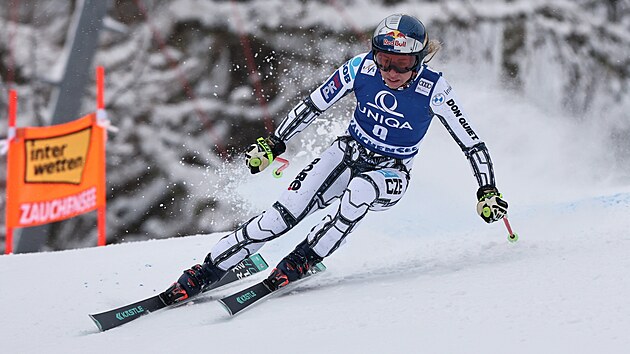 Ester Ledeck� bojuje ve sjezdu v Zauchensee.