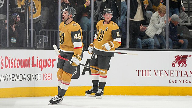 Tom� Hertl slav� vyrovn�vac� branku 7 sekund p�ed koncem.