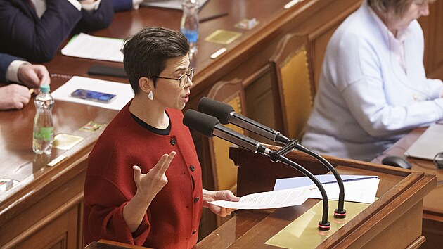 ��fka poslanc� Pir�t� Olga Richterov� p�ed hlasov�n�m o d�v��e vl�d� (13. ledna 2026)