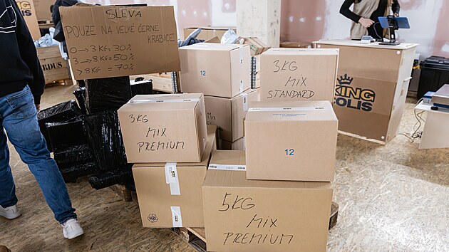 Prodejna, kterou si na t�den otev�ela francouzsk� spole�nost King Colis, nab�z� v brn�nsk�m obchodn�m centru Futurum bal�ky, je� nena�ly sv�ho adres�ta. Lid� zaplat� za v�hu vybran� z�silky a teprve pak zji��uj�, co si vlastn� koupili. (14. ledna 2026)