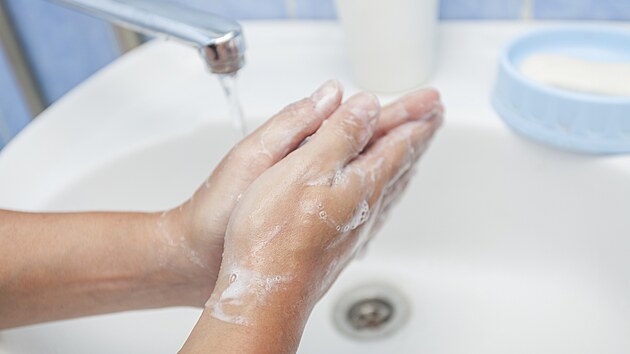 Ilustra�n� fotografie