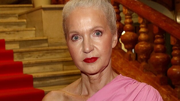 Spisovatelka Irena Obermanov�