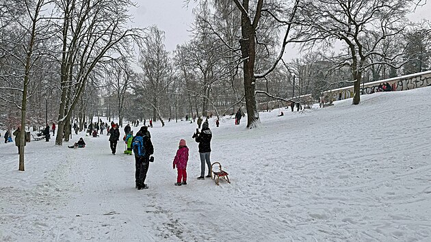 Pra�skou Stromovku obsadily d�ti se sá�kami (10. ledna 2026)