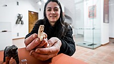 Havl�­Ä�kobrodsk�© muzeum a galerie vÄ�nuje svoji letošn�­ prvn�­ výstavu kon�­m