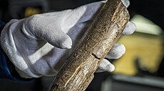 Předmostskou venuši dnes policejn�­ eskorta přivezla na výstavu do Turnova