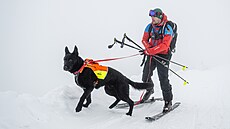 Des�­tky horských záchranářů v Krkonoš�­ch nacviÄ�uj�­ záchranu lid�­ z lavin