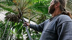 Sklen�­k i hlavn�­ prohl�­dkový okruh zámku v Lednici se připravuj�­ na otevřen�­