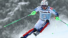 První �ást slalomu Sv�tového poháru v Adelbodenu. zvládl nejlépe Henrik...