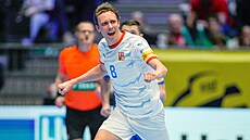 �eský házenká� Pavel Chot�borský v utkání proti Ukrajin�.