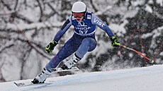 Julia Ple�kovová b�hem sjezdu Sv�tového poháru v Zauchensee.