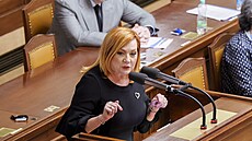 Poslanci v Poslanecké sn�movn� projednávají novelu týkající se pojistného na...