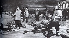 Zajali N�mce. Berlín se u� nedozví, jak bude zítra, americké komando práv�...