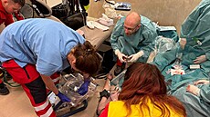 Tým ECMO centra Fakultní nemocnice Ostrava zaznamenal mimo�ádný úsp�ch p�i...