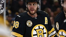 David Pastr�ák z Bostonu se speciálním logem na dresu k vy�azení �ísla Zdena...