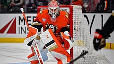 Luká� Dostál z Anaheimu v utkání s Dallasem.