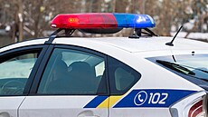 ilustra�ní snímek