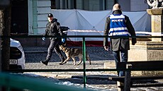 Policie v Ch�ibské na D��ínsku, kde do�lo ke st�elb�. (19. ledna 2026)