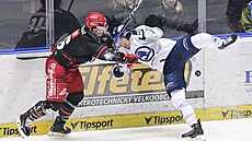 Momentka ze zápasu Plzn� s Hradcem.