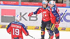 Pardubi�tí hokejisté se radují z gólu, který vst�elil Miguel Tourigny.