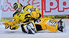 P�ekonaný litvínovský branká� Pavel �ajan