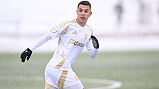 Spar�anský zálo�ník Hugo Soch�rek