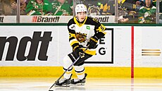 Adam Ji�í�ek v dresu Brantfordu zakládá úto�nou akci.