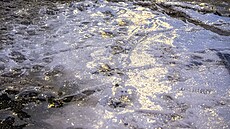 �esko pokryla silná ledovka. Záb�r z Prahy. Problémy mají chodci, komplikuje se...