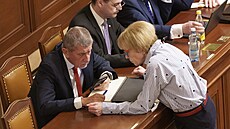 Sch�ze Poslanecké sn�movny. Vyslovení d�v�ry vlád�. Andrej Babi� a Helena...