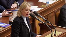 Bývalá ministryn� obrany Jana �ernochová.