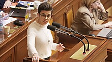 Sch�ze Poslanecké sn�movny. Vyslovení d�v�ry vlád�. Na snímku Olga Richterová...