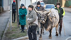 Netflix natá�el v Liberci historický seriál The Age of Innocence (19. ledna...