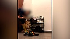 Dívka brutáln� týrala ko�ku. Pochlubila se tím na sociální síti