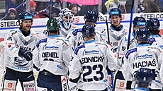 Hokejisté Vítkovic se radují z vít�zství.
