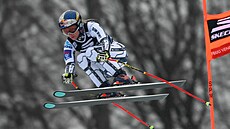 Ester Ledecká jede super-G v Tarvisiu.
