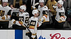 Tomá� Hertl slaví se st�ída�kou branku.